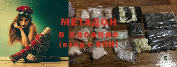 прущие грибы Надым