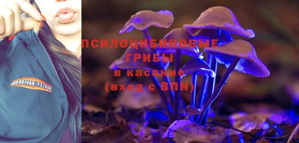 ПСИЛОЦИБИНОВЫЕ ГРИБЫ Абинск