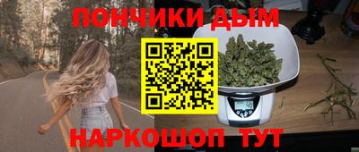 индика Обь