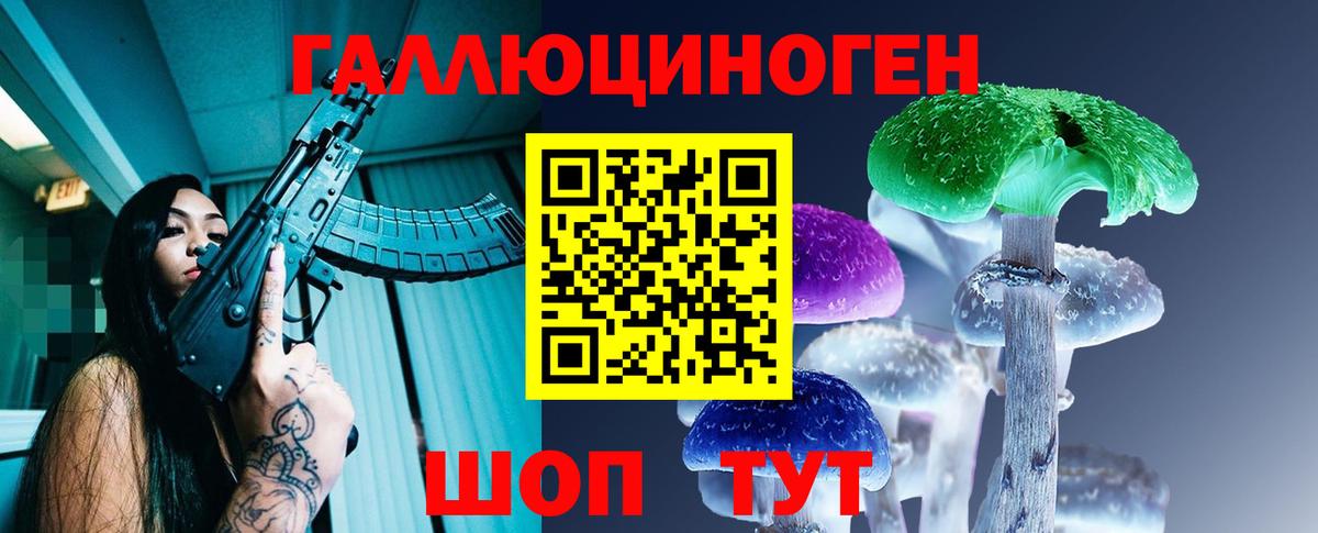 Псилоцибиновые грибы Psilocybe Азов